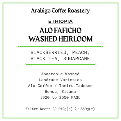 Alo Faficho Washed